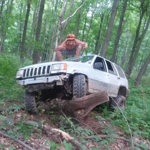 Meet your Posher, Ray - Picture 1 of 1